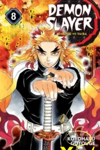 Demon Slayer 8